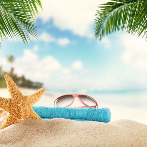 Starfish, sunglasses and a folded towel on a sandy beach under palm leaves