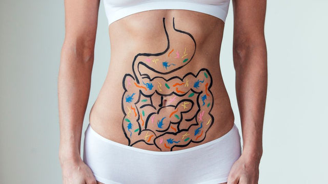 Digestive tract illustration drawn on a person's stomach