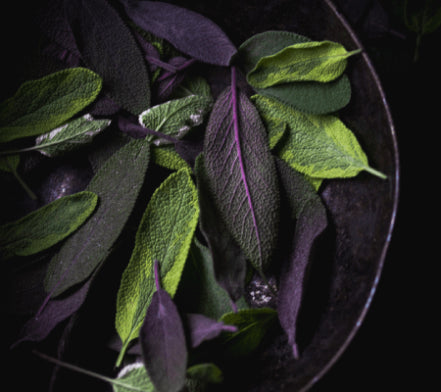 Fresh sage leaves arranged on a dark plate