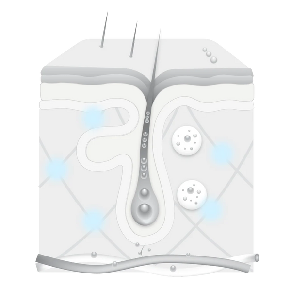 Impact illustration 1